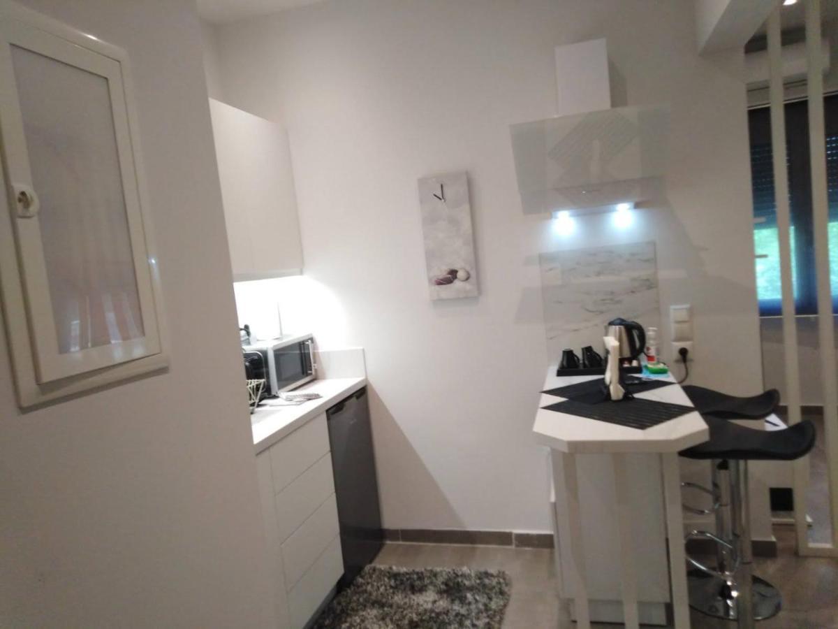אתונה Syntagma Contemporary Apartment מראה חיצוני תמונה